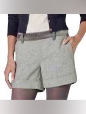 Anthropologie Paper Boy Wool/Velvet Gray Shorts